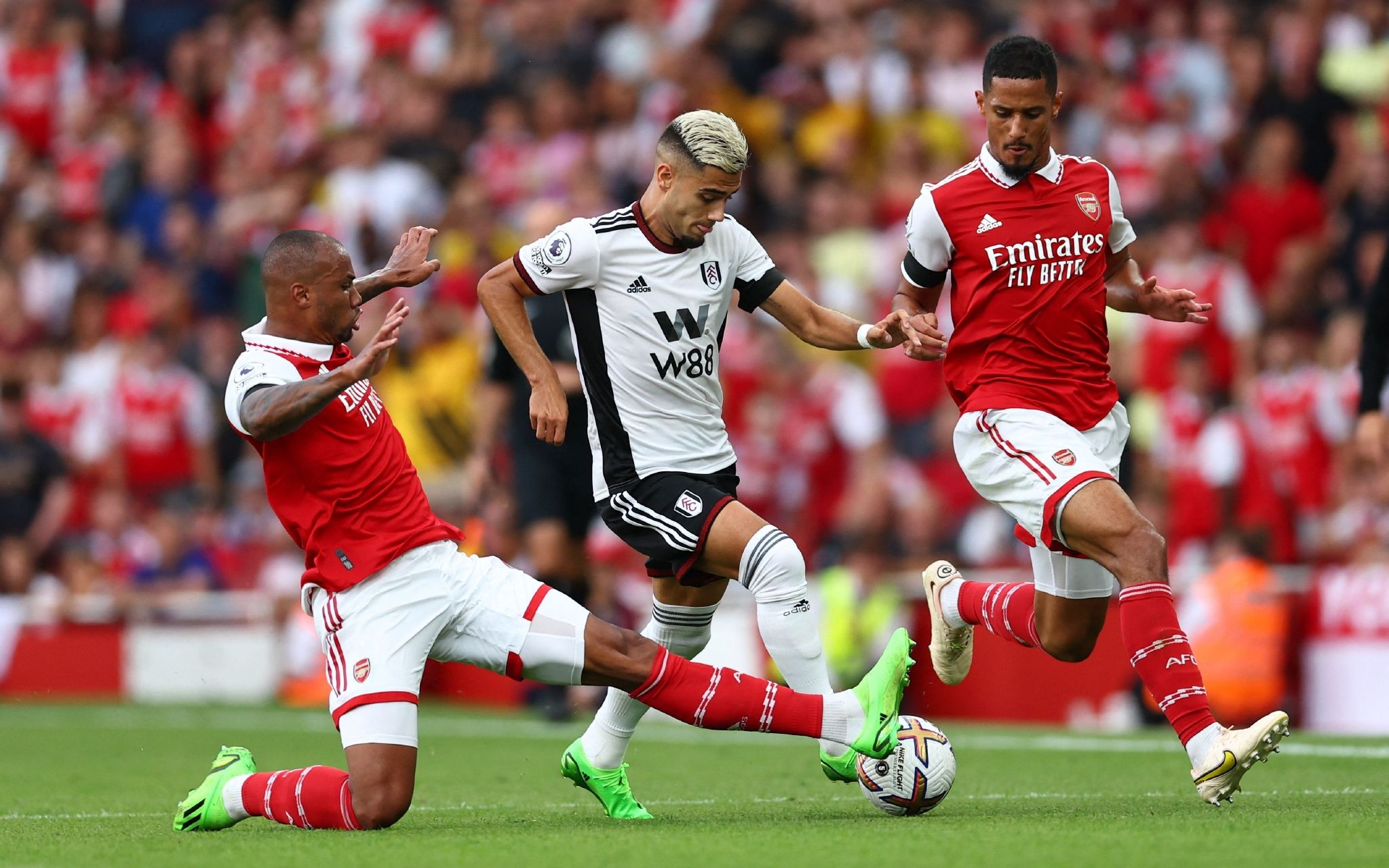 示自我的绝 示自我的绝